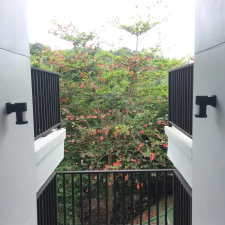 The Dearly Koh Tao Hostel-Padi 5 Star Dive Resort