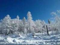 雪乡沐雪暖居客栈