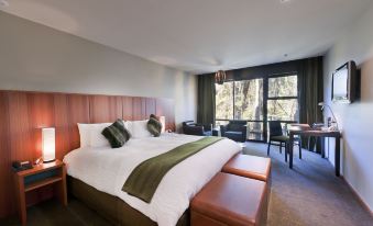 Te Waonui Forest Retreat