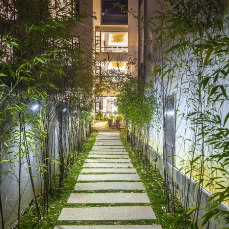 Tengchong Nansu Mancheng Yongquan Private Tangmeisu