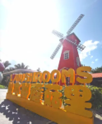 Mushrooms Inn