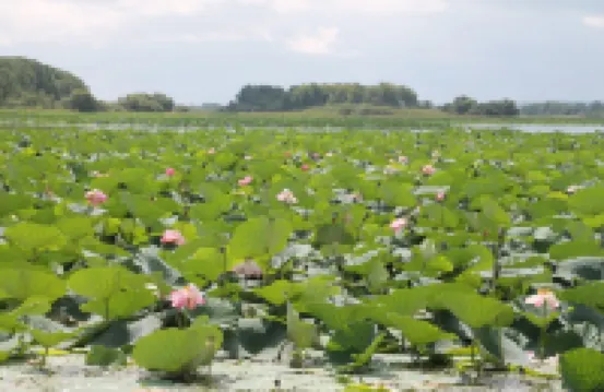 Hulin River View Hotel