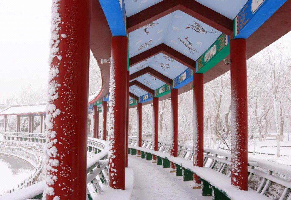 4. 디이다오 테마 ..