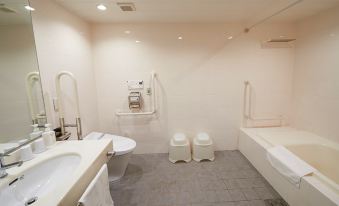 Sotetsu Fresa Inn Nihombashi-Ningyocho