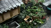 Floral Hotal · Yiru Chujian hotel