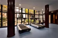 成都院子酒店 - 健身室/gym room