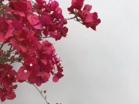 德阳美斯特酒店 - 花园