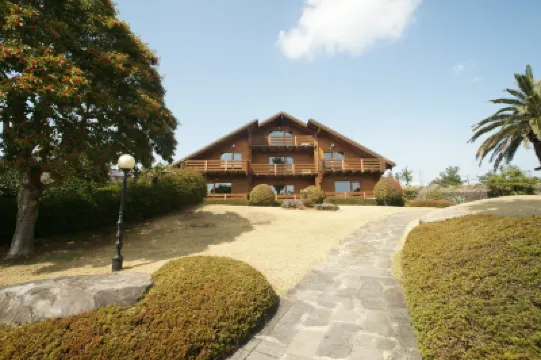 Sunny Day Jeju Hotels near Joanne teddy bear