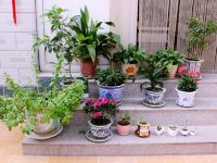 雁栖湖水云庄农家小院 - 花园