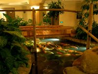 清远丁香花园酒店 - 公共区域