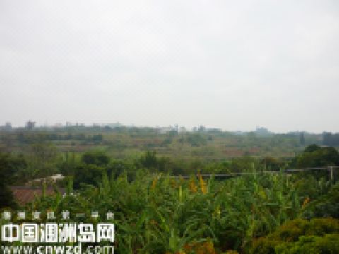 涠洲岛打渔部落 - 酒店附近