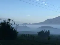 Xinfeng Senlai Dafeng Tea Manor