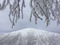 雪乡二浪河杨成家庭旅馆 - 酒店附近