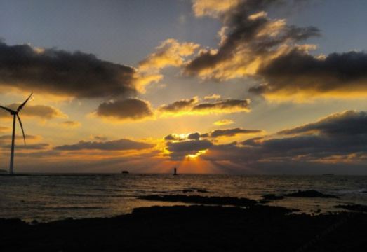 4. 제주 한그루 게..