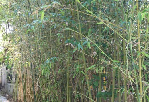 Homeinn Plus Hotel (Beijing Guangqumennei Subway Station Hongrun) Hotel Overview