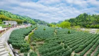Shiwai Chayuan Theme Hostel Hotels near Anhui Qingyunxia Sceneic Area