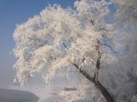 雾凇岛雪客宾馆 - 酒店附近