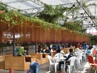 南京巴布洛生态会议中心 - 餐厅
