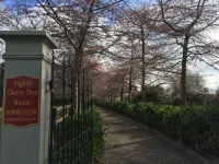 English Cherry Tree Manor فنادق في 
