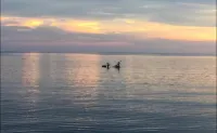Naivacha Tent Koh Mak Các khách sạn ở Koh Mak