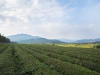 莫干山行止山居客栈 - 酒店附近