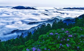 Floral Hotel·Xiangshi Yaju