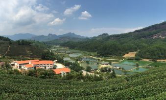 Wuyishan Jiaye Shanshe (Fulian Tea Manor Store)