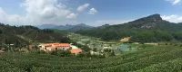 Wuyishan Jiaye Shanshe (Fulian Tea Manor Store)