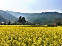 泾县宋迎阁山庄 - 酒店附近