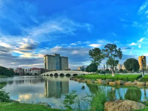 Auspicious Phoenix Hotel