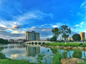 Auspicious Phoenix Hotel