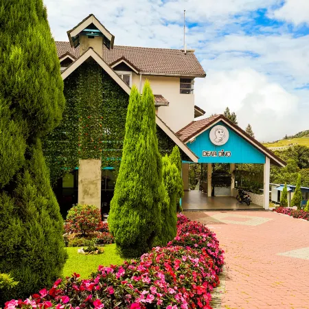 Dear Dino Villa Cameron Highlands