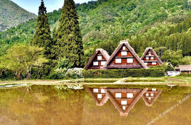 城山館 しろやまかん 白川村 宿泊予約 安い料金プラン 口コミ 部屋写真 Trip Com