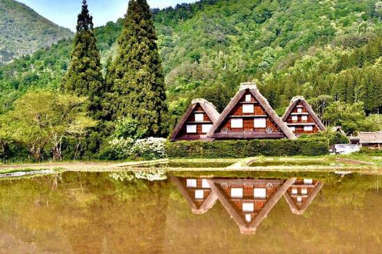 城山館 しろやまかん 白川村 を宿泊予約 22年安い料金プラン 口コミ 部屋写真 Trip Com