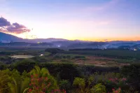 Sheraton Grand Xishuangbanna Hotel - Bjergudsigt