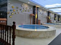 新野一品国际大酒店 - 室内游泳池
