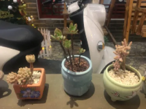 Prajna. Lin Hotel (Mount Emei tourist center) فنادق في 