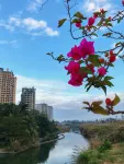 Jizhu Holiday Apartment - วิวทะเล