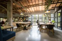 Socialtel Provenza Medellin - Pet friendly