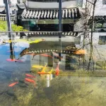 Hui Pan Hotel - Haustierfreundliche
