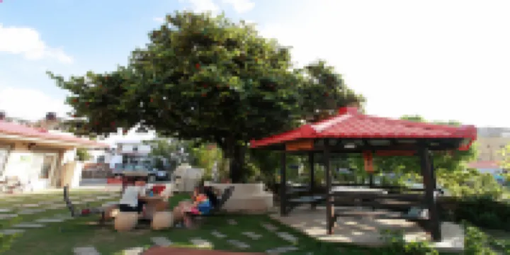 Landscape Rural Bed and Breakfast Hotels in National Museum of Marine Biology & Aquarium