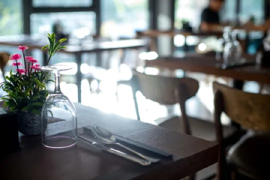 Vienna Hotel (newly renovated 2025)