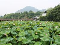 建德浙里遇见民宿 - 酒店附近