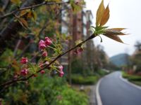 资兴山水舍艺术生活馆 - 公共区域