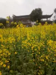 Xidi Xianting Inn - Cho phép mang theo thú cưng