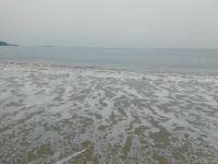 惠州禹途度假民宿 - 私人海滩