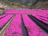 浙西大峡谷龙井峡康富佳山庄 - 酒店附近