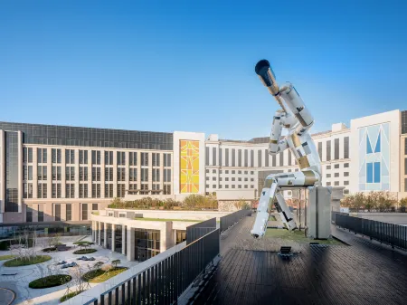 Art Paradiso, Paradise City