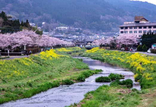 유후인 타비노쿠라 대표 이미지