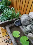 EZZI Hotel (Xi'an Jiaotong University South Gate Dayan Pagoda Branch) Hotel dekat Kuil Qinglong